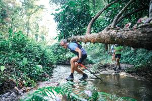 BIB: 
                            <button type="button" onclick="openModal(25437595)" class="btn btn-primary btn-sm float-right btn-popup" data-toggle="modal" data-target=".modal-high-quality">
                        <i class="fas fa-shopping-cart"></i> Add to Cart
                    </button>
                                            <button type="button" onclick="isThisMe(25437595, true)" class="btn btn-success btn-sm float-right btn-popup btn-isme hidden" data-toggle="tooltip" data-placement="bottom" title="นี่คือรูปของคุณใช่ไหม คลิกที่นี่เพื่อเอาเข้าอัลบั้ม">
                        <i class="fas fa-plus"></i> Add to album
                    </button>
                    <button type="button" onclick="isThisMe(25437595, false)" class="btn btn-warning btn-sm float-right btn-popup btn-isnotme hidden">
                        <i class="fas fa-ban"></i> Remove from album
                    </button>